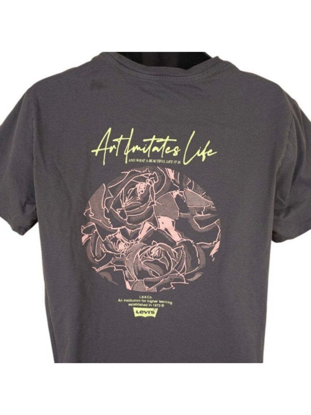 Art Imitates Life T Shirt Mens Size XL Gray Levis Roses What A Beautiful Life